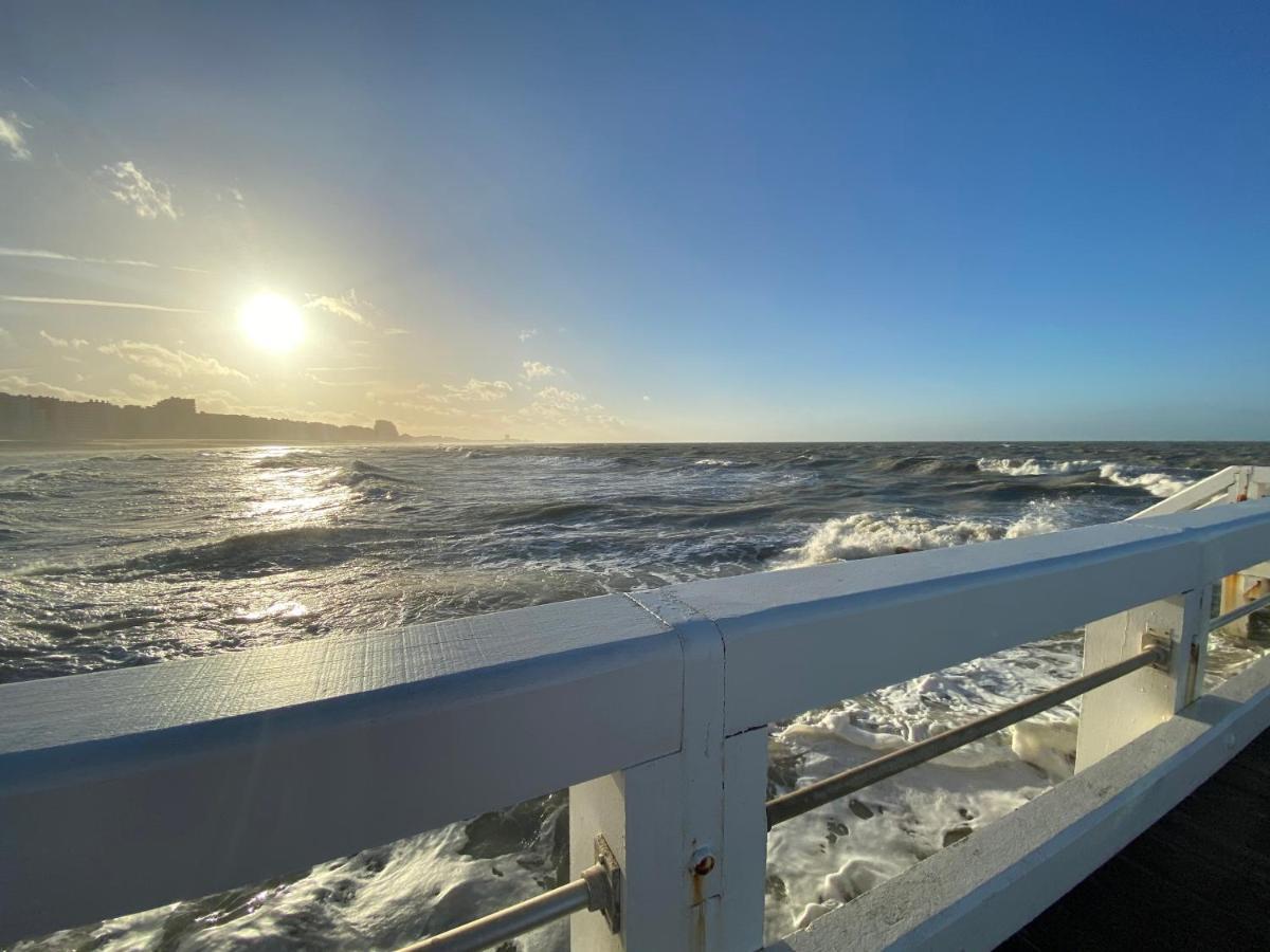 Sunnyside-Of-Thesea - With Open View On Nature, Big Terraces All Around - Very Close To Sea, Beach, Stores, Restaurants & Beach Bars Nieuwpoort Exterior foto