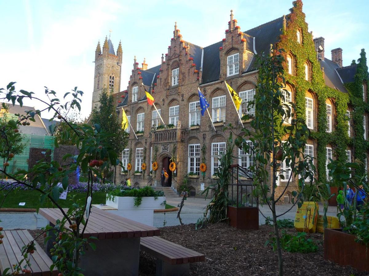 Sunnyside-Of-Thesea - With Open View On Nature, Big Terraces All Around - Very Close To Sea, Beach, Stores, Restaurants & Beach Bars Nieuwpoort Exterior foto