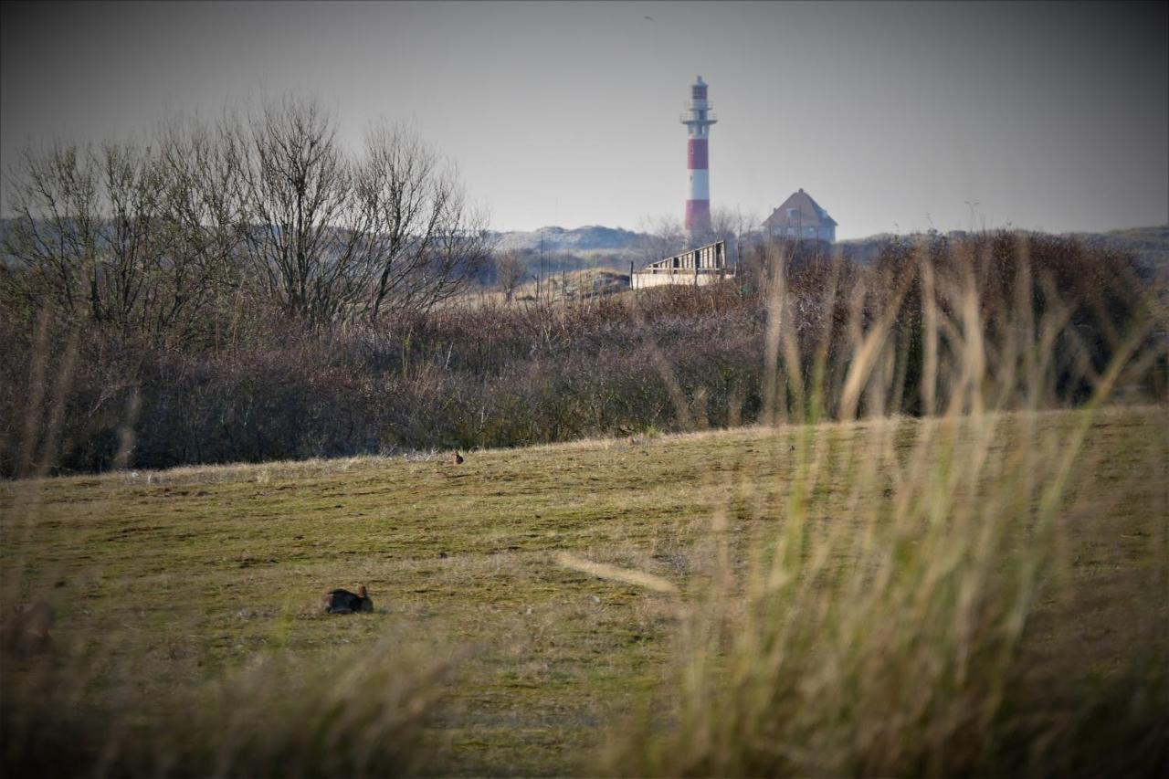 Sunnyside-Of-Thesea - With Open View On Nature, Big Terraces All Around - Very Close To Sea, Beach, Stores, Restaurants & Beach Bars Nieuwpoort Exterior foto